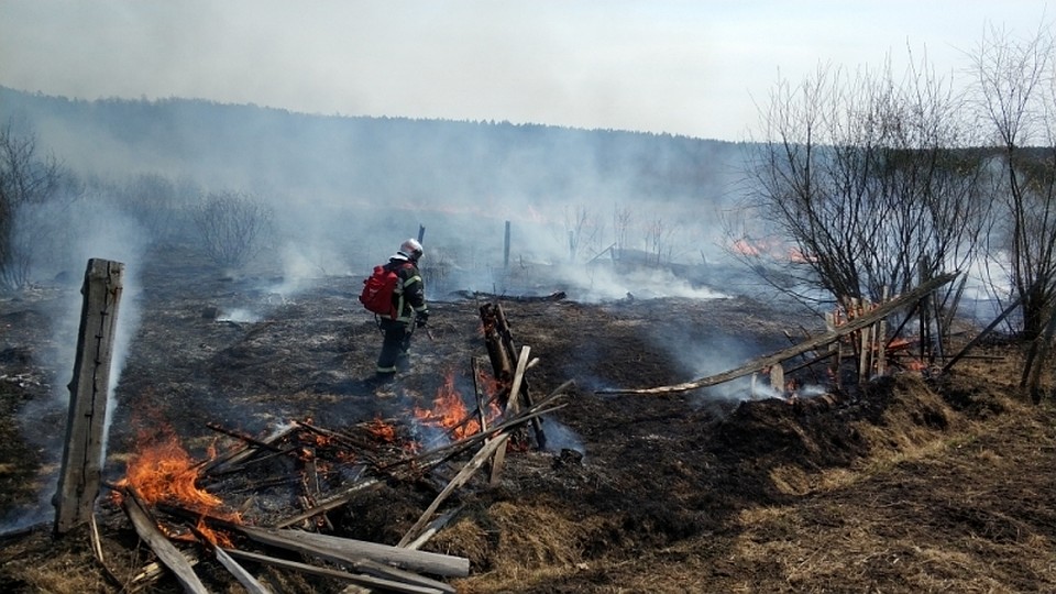 Бам пожар. Лесные пожары в Амурской области. Пожар Николаевка Амурская область. Пожары природные в Приамурье. Пожар леса в Амурской области.